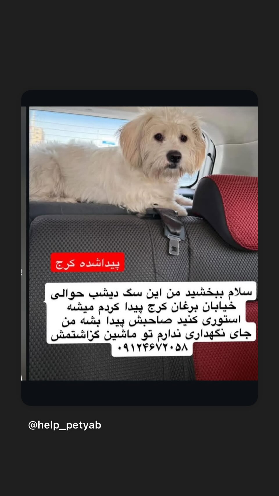  جدید ترین استوری اینستاگرام ساناز سماواتی