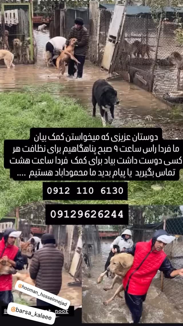  جدید ترین استوری اینستاگرام ساناز سماواتی