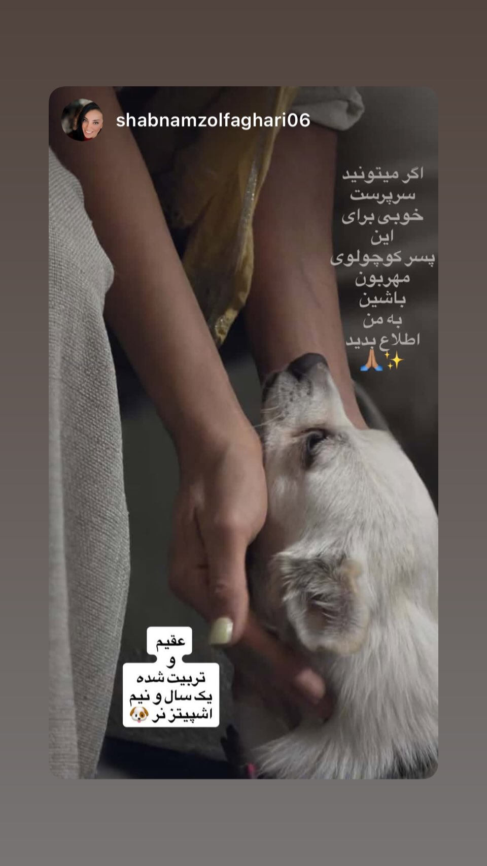  جدید ترین استوری اینستاگرام ساناز سماواتی