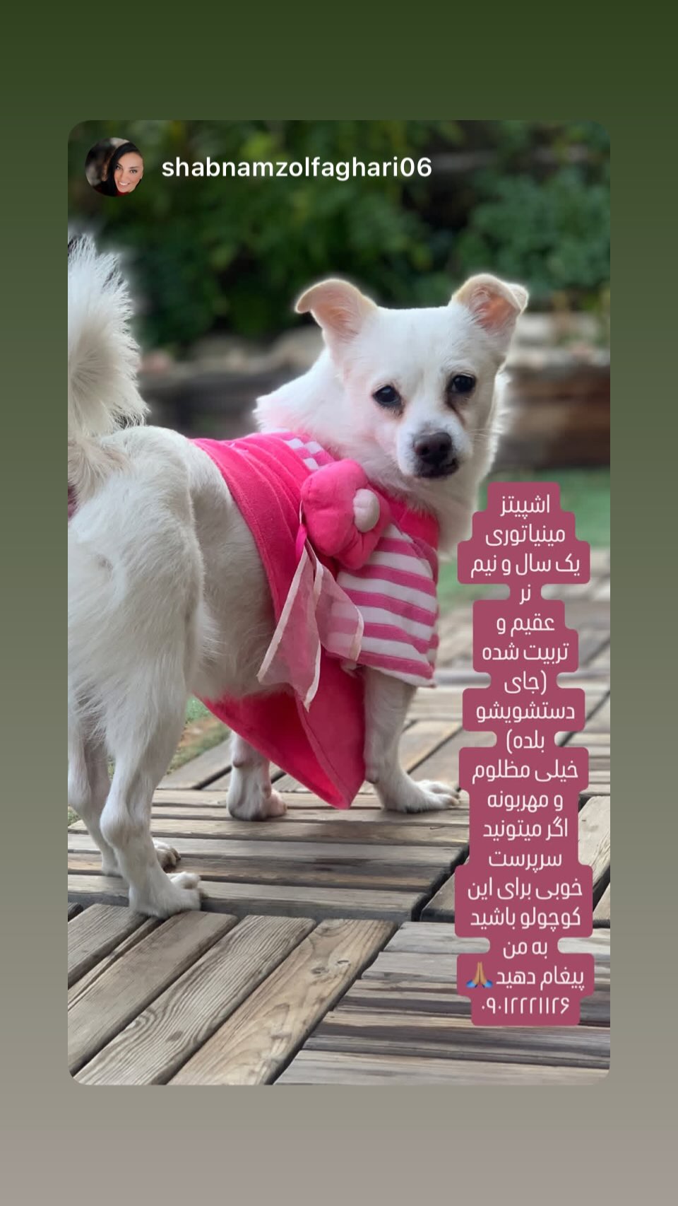 جدید ترین استوری اینستاگرام ساناز سماواتی