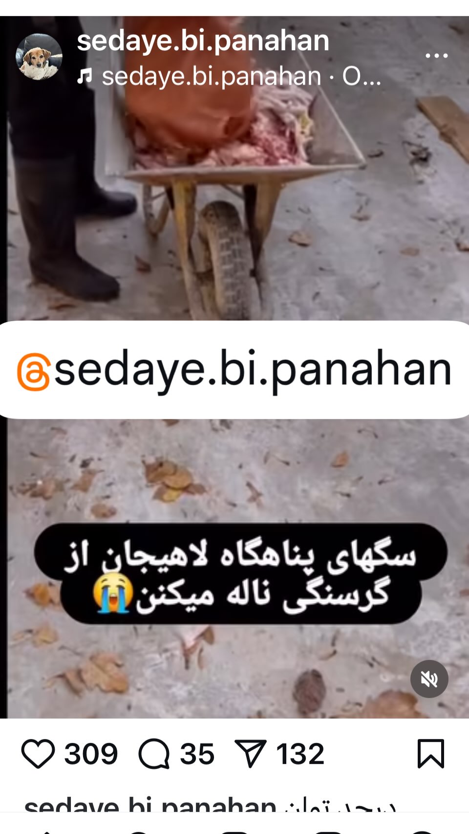  جدید ترین استوری اینستاگرام ساناز سماواتی