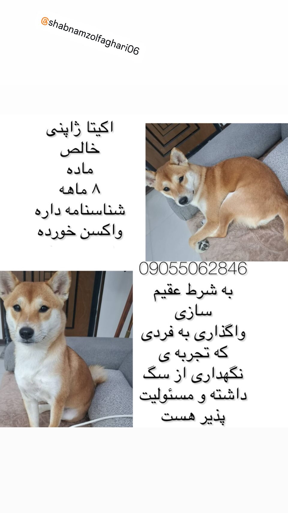  جدید ترین استوری اینستاگرام ساناز سماواتی