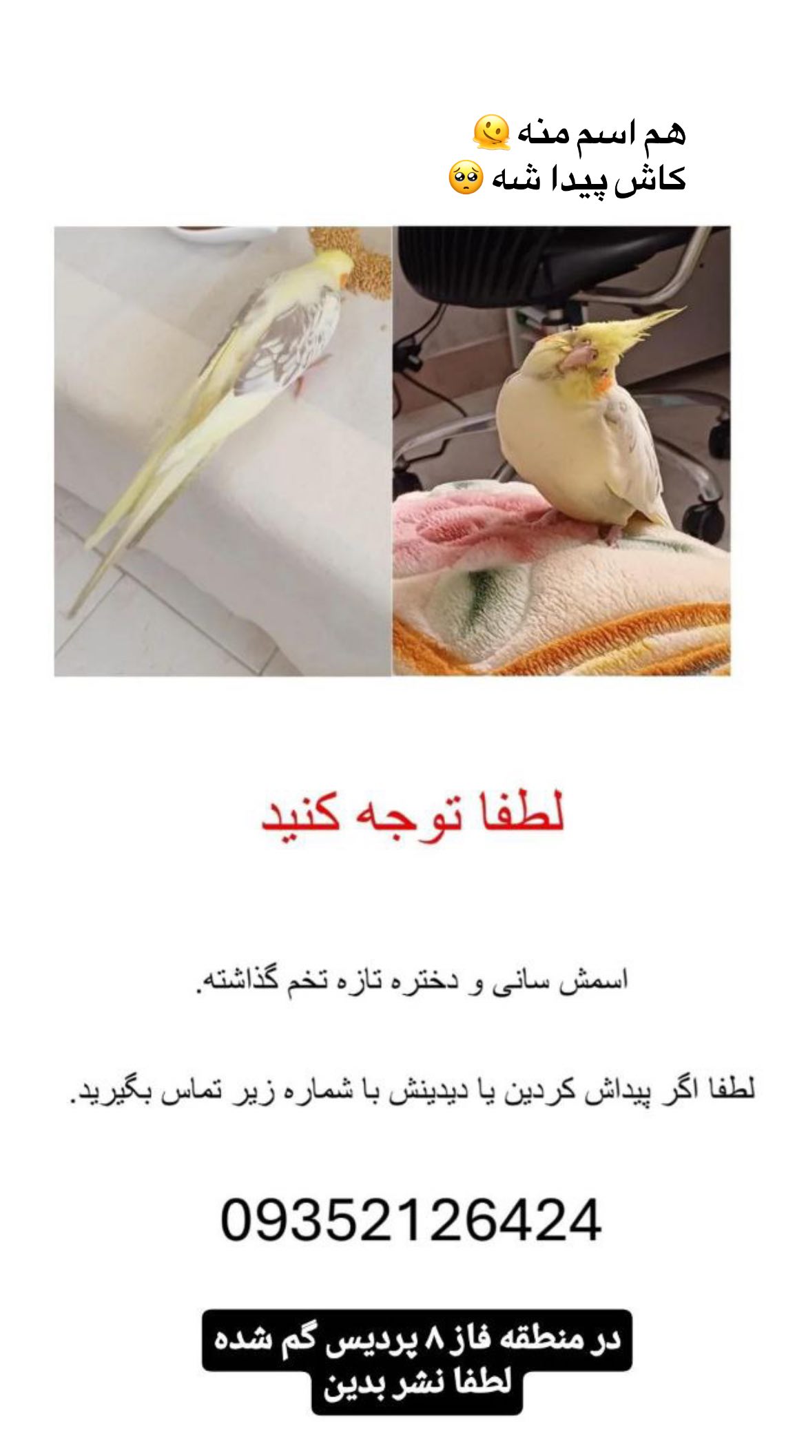  جدید ترین استوری اینستاگرام ساناز غلامی