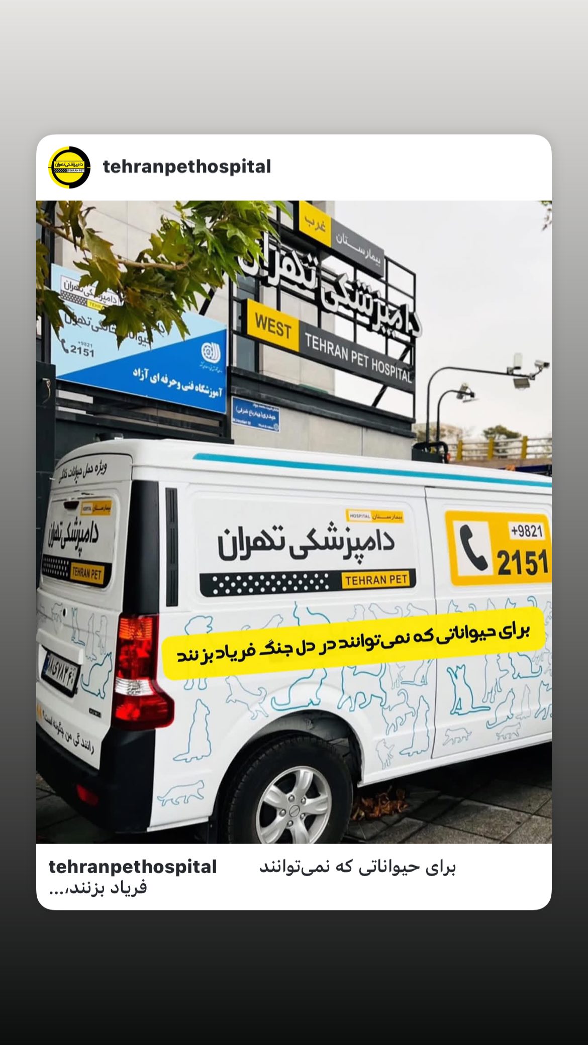  جدید ترین استوری اینستاگرام ساناز غلامی