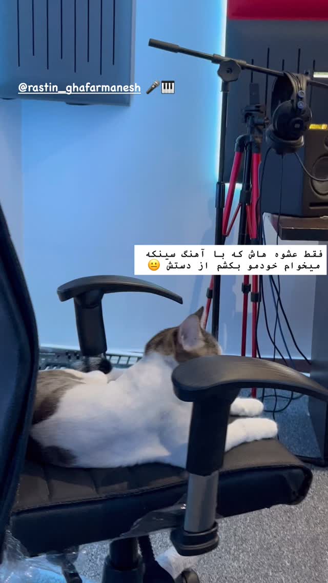  جدید ترین استوری اینستاگرام ساناز غلامی