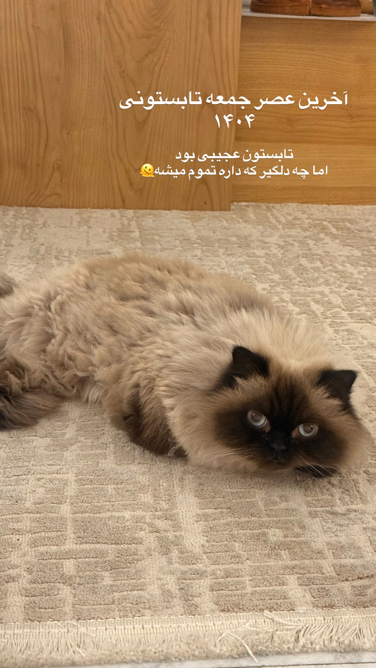  جدید ترین استوری اینستاگرام ساناز رستم پور