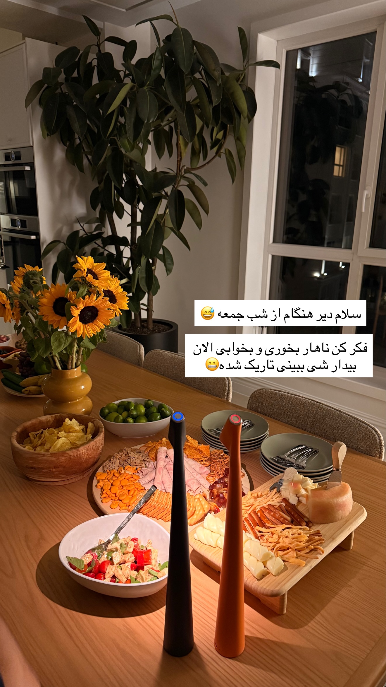  جدید ترین استوری اینستاگرام ساناز رستم پور