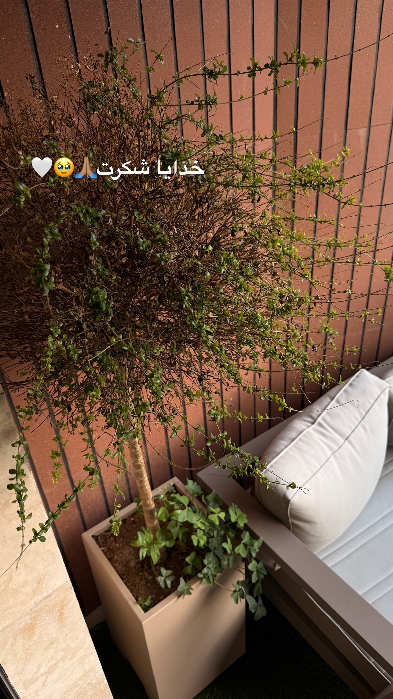  جدید ترین استوری اینستاگرام ساناز رستم پور