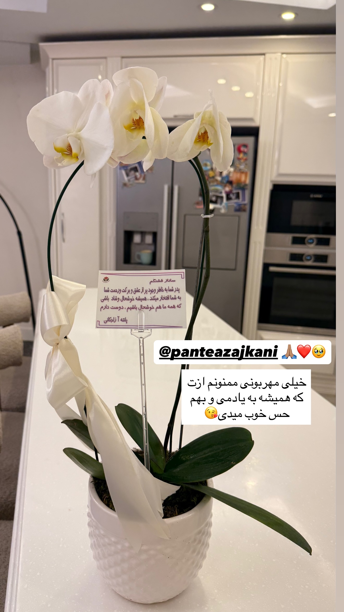  جدید ترین استوری اینستاگرام ساناز رستم پور