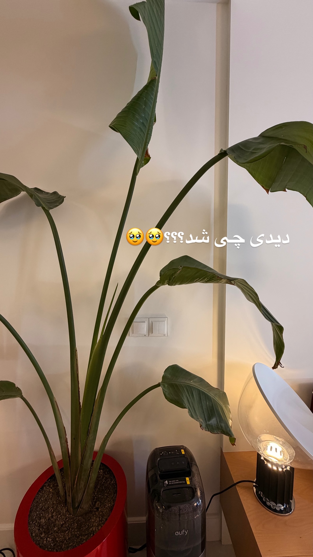  جدید ترین استوری اینستاگرام ساناز رستم پور