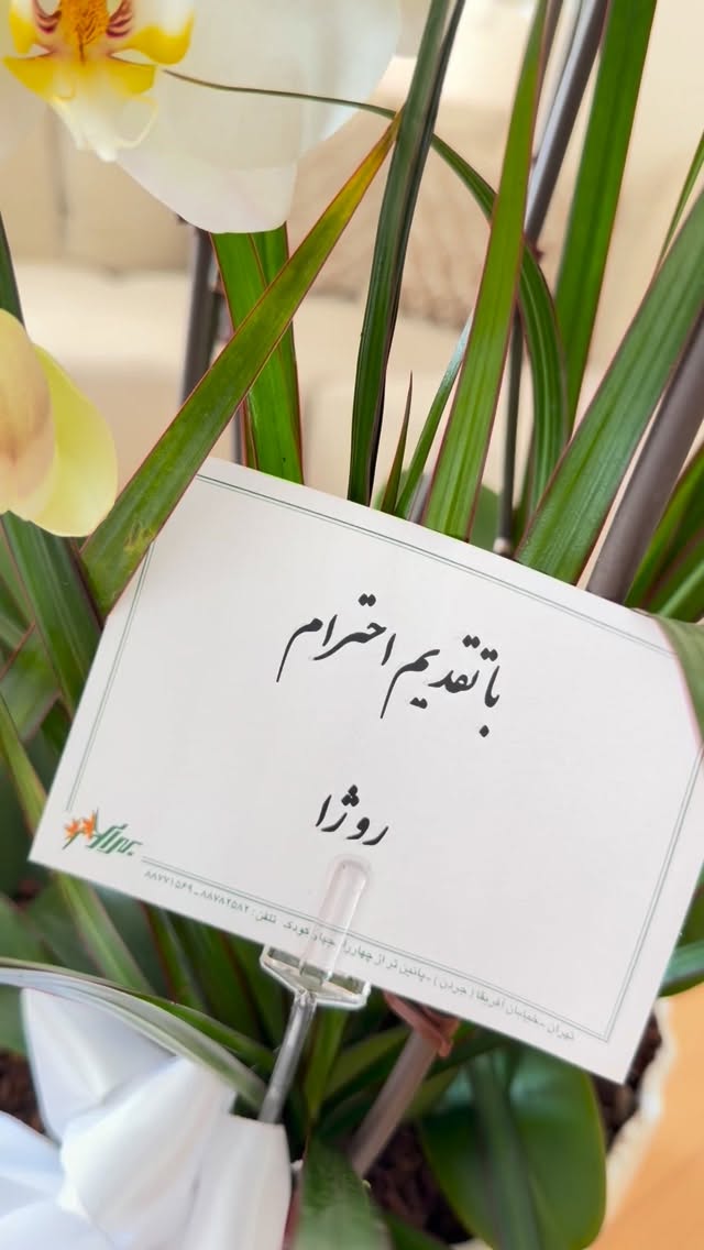  جدید ترین استوری اینستاگرام ساناز رستم پور