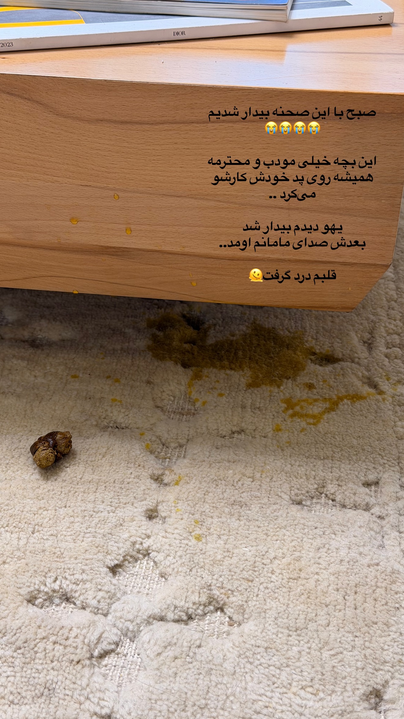 جدید ترین استوری اینستاگرام ساناز رستم پور