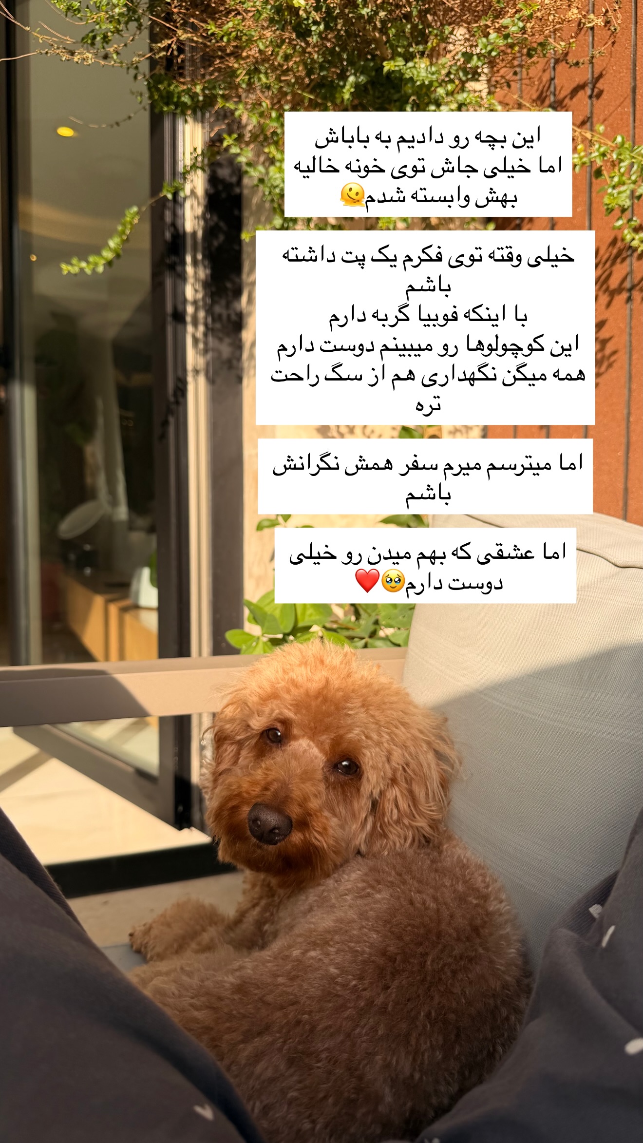  جدید ترین استوری اینستاگرام ساناز رستم پور