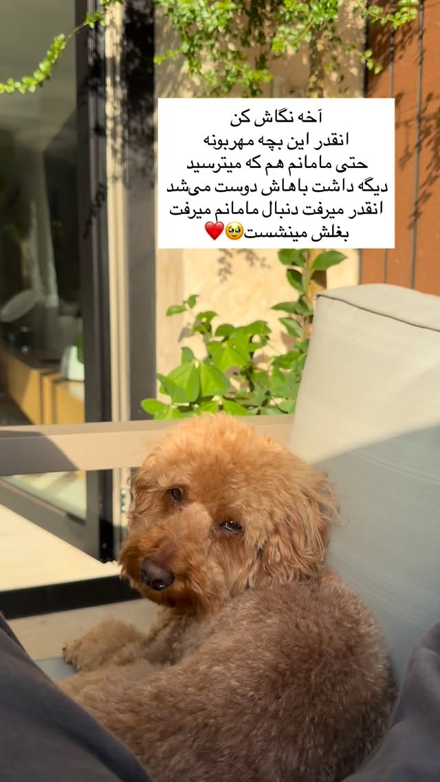  جدید ترین استوری اینستاگرام ساناز رستم پور