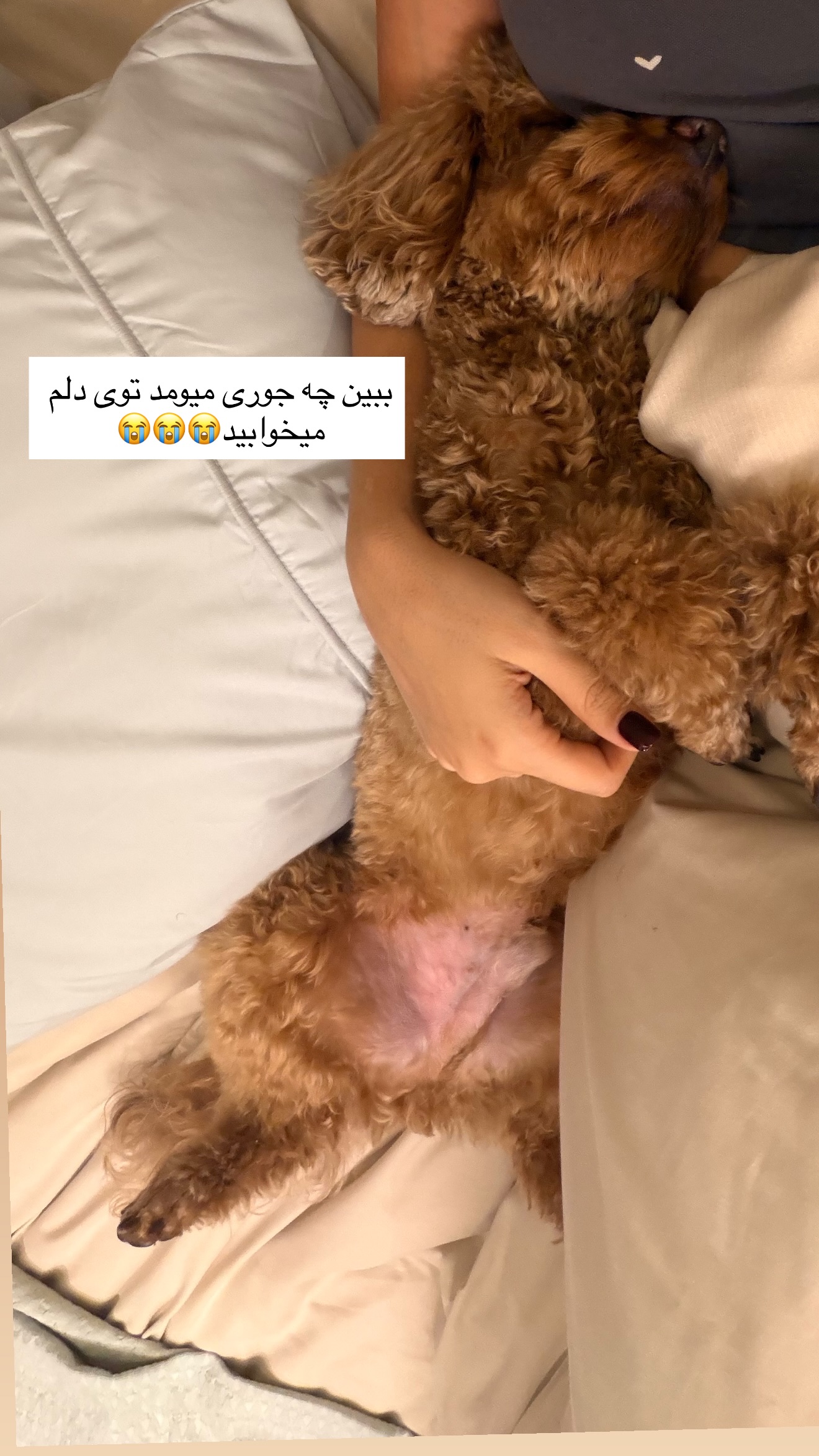  جدید ترین استوری اینستاگرام ساناز رستم پور