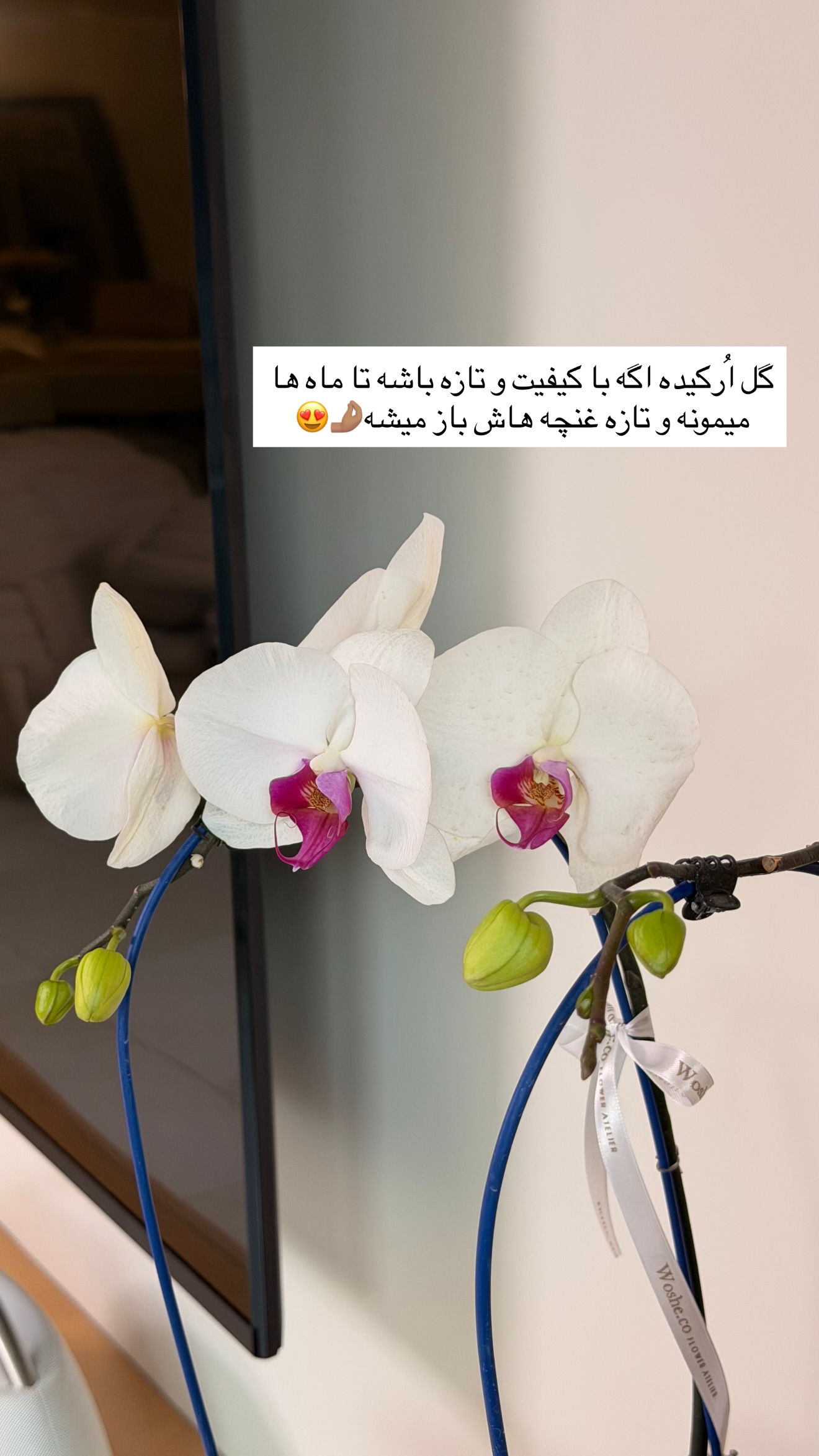  جدید ترین استوری اینستاگرام ساناز رستم پور