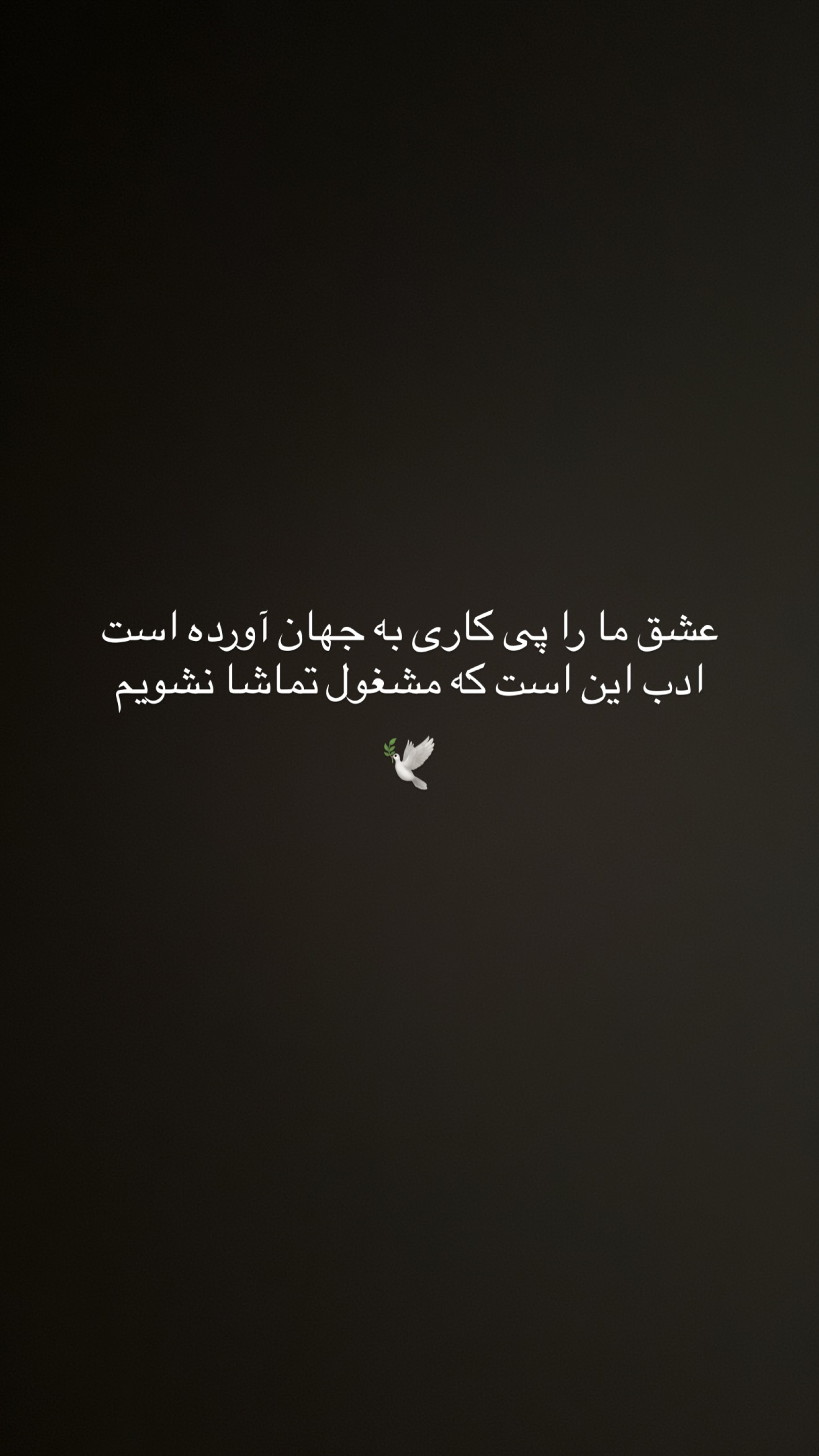  جدید ترین استوری اینستاگرام ساناز رستم پور