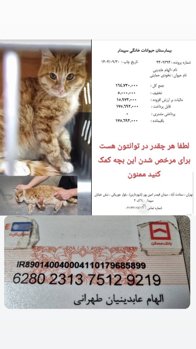  جدید ترین استوری اینستاگرام ساینا سالاری