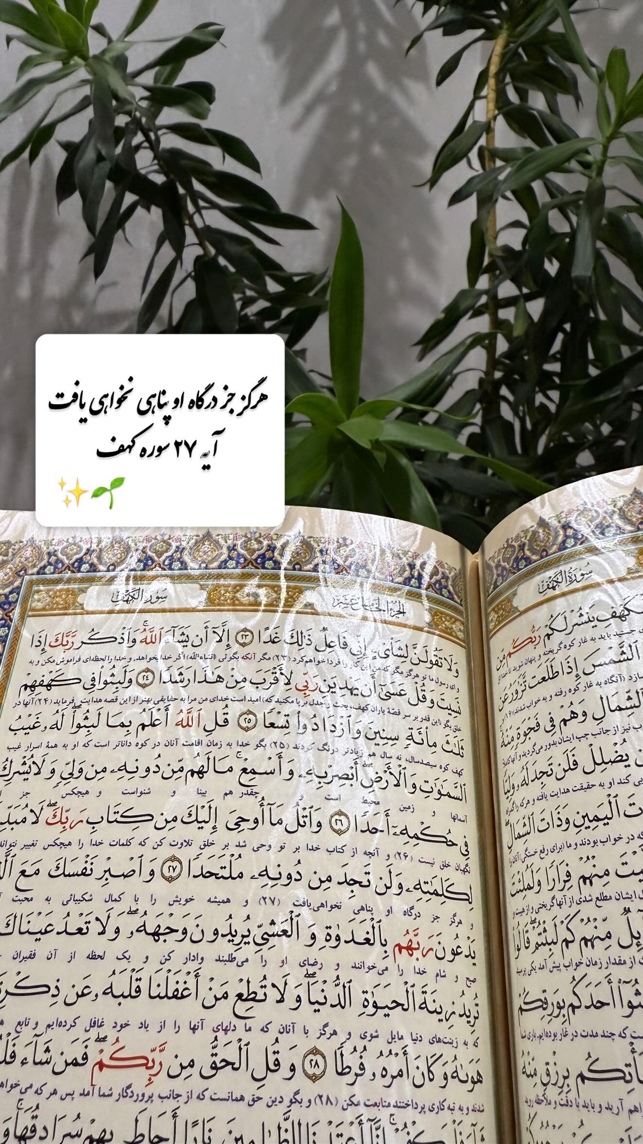 جدید ترین استوری اینستاگرام سارا تاج فیروزه