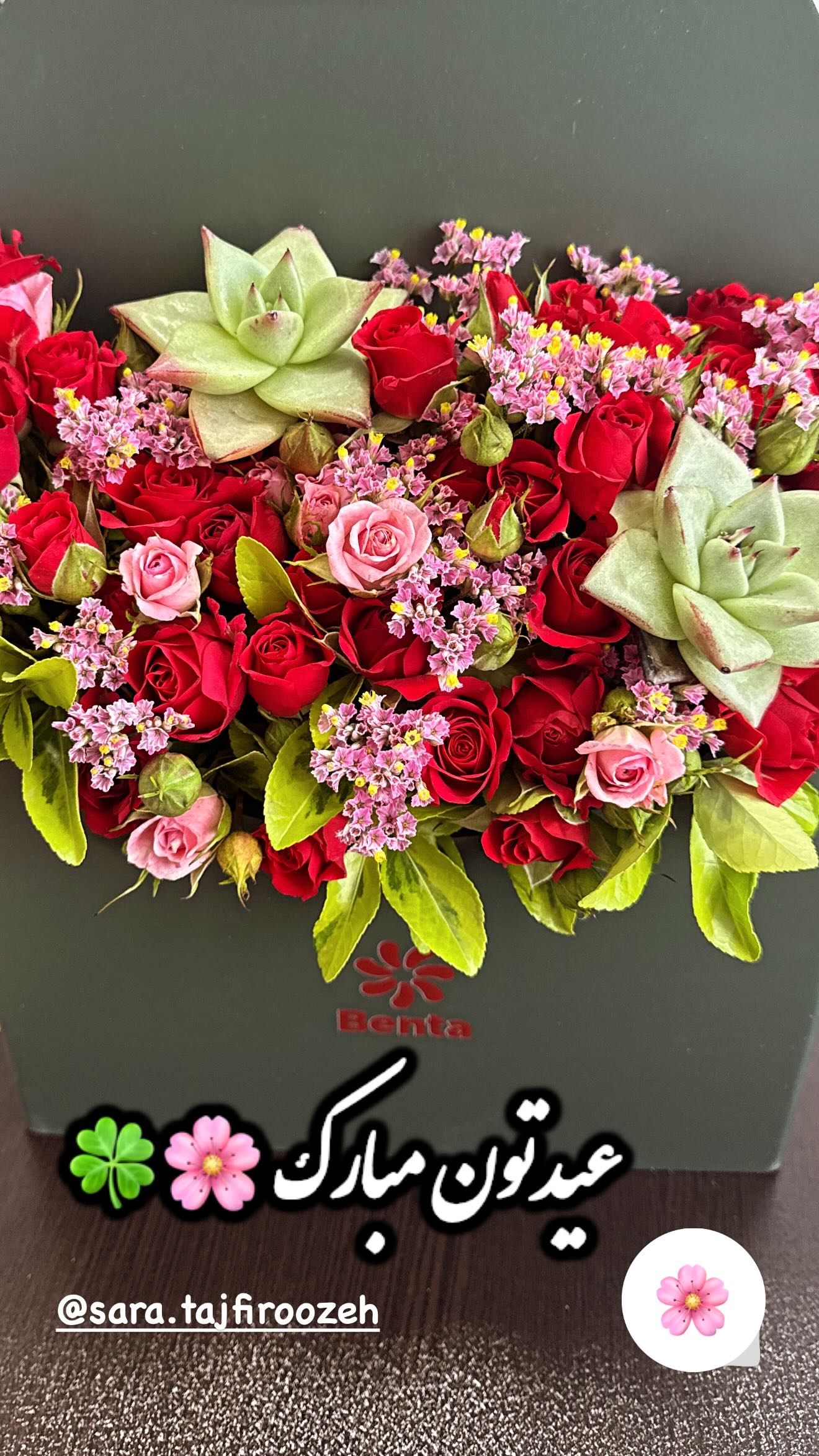  جدید ترین استوری اینستاگرام سارا تاج فیروزه