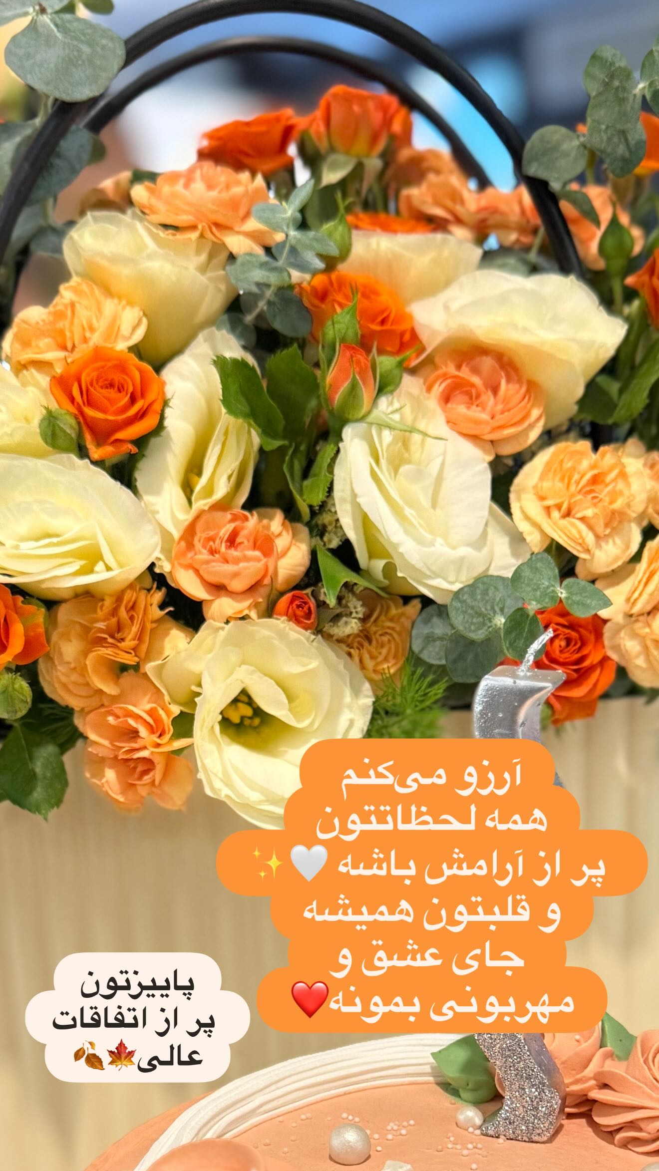  جدید ترین استوری اینستاگرام سارا تاج فیروزه
