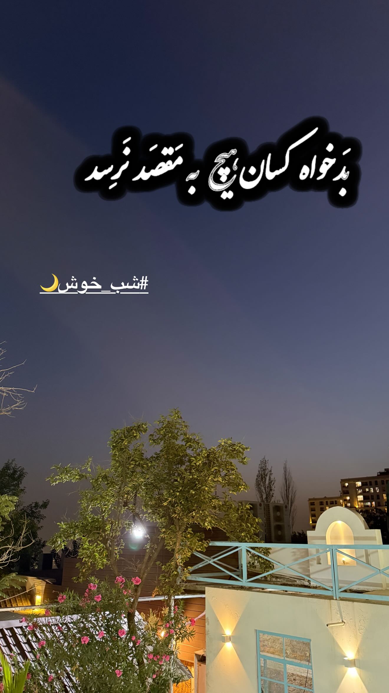  جدید ترین استوری اینستاگرام سارا تاج فیروزه