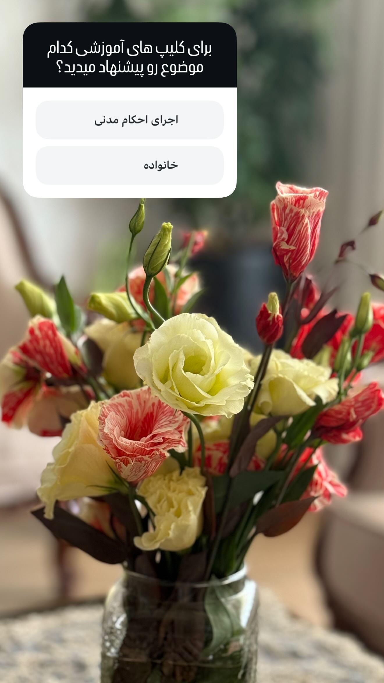  جدید ترین استوری اینستاگرام سارا تاج فیروزه