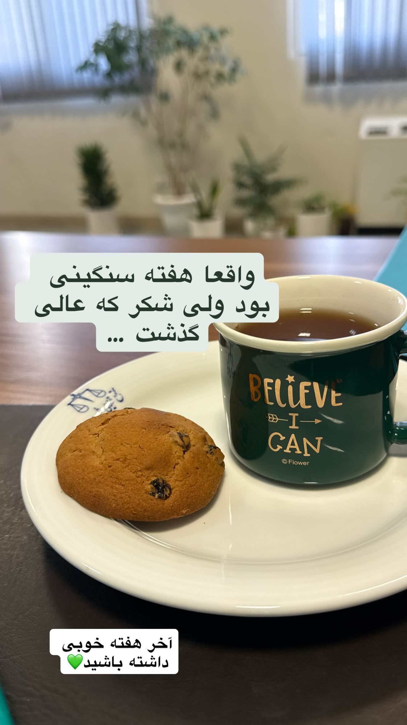  جدید ترین استوری اینستاگرام سارا تاج فیروزه