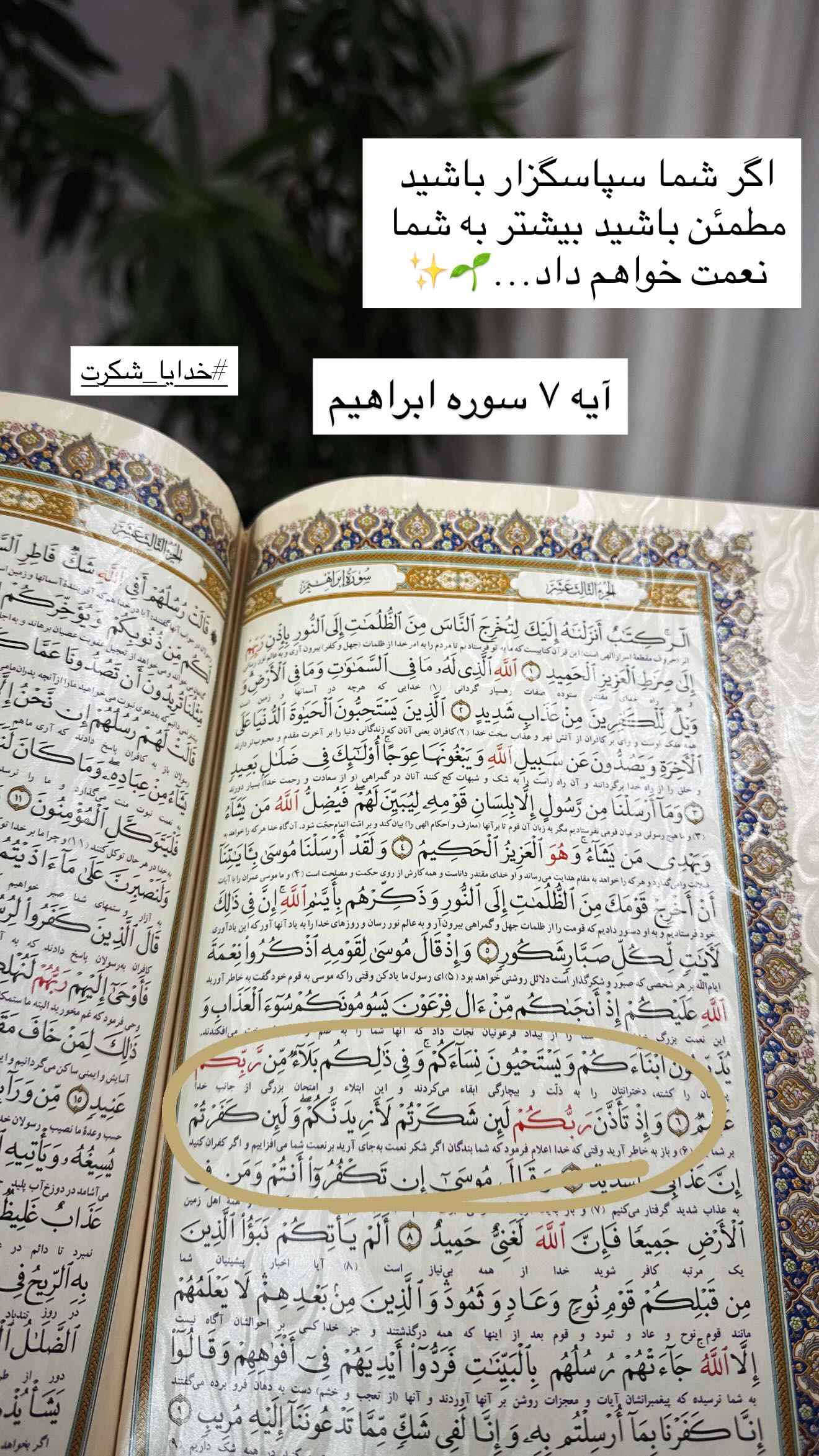  جدید ترین استوری اینستاگرام سارا تاج فیروزه