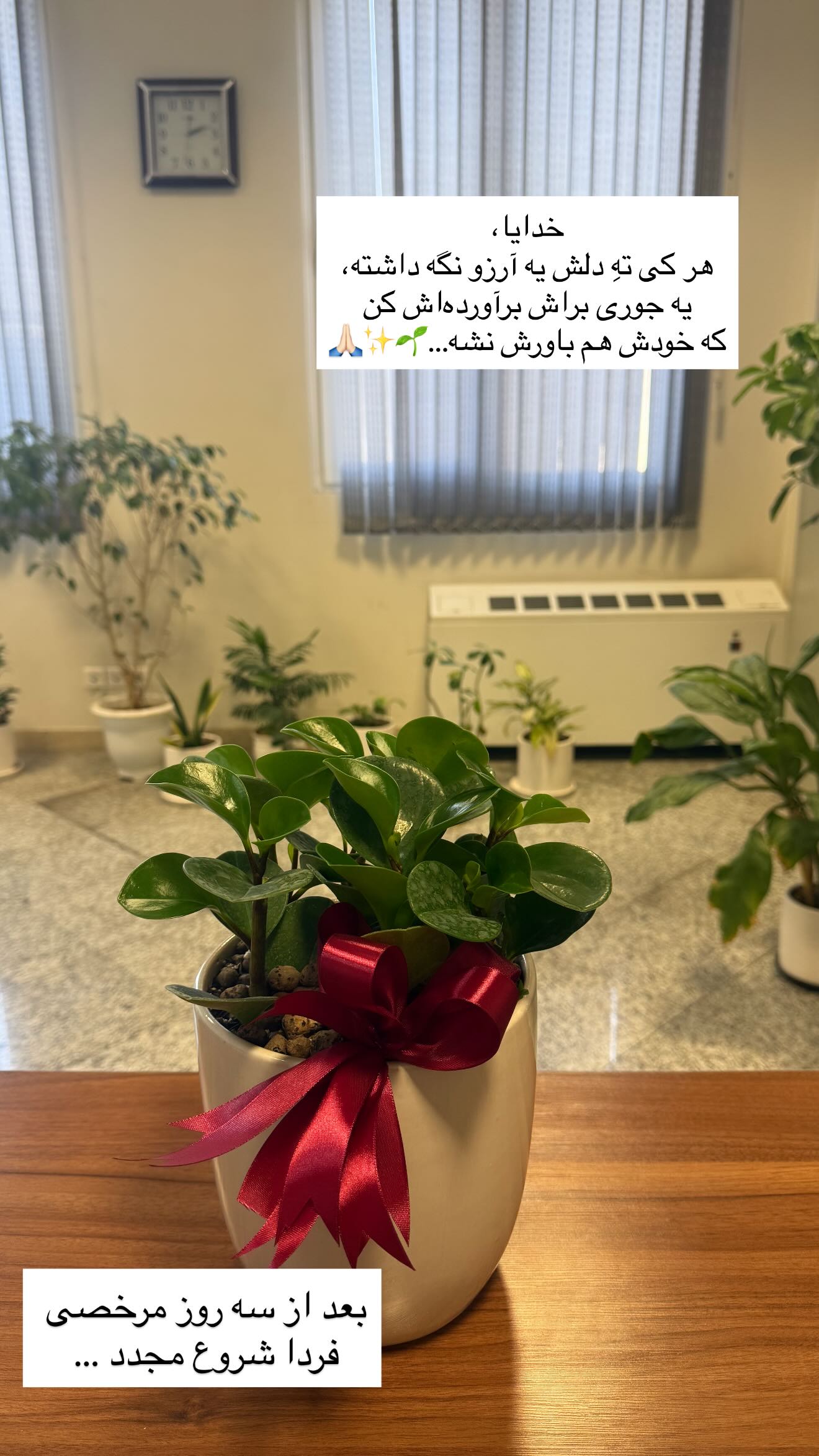  جدید ترین استوری اینستاگرام سارا تاج فیروزه