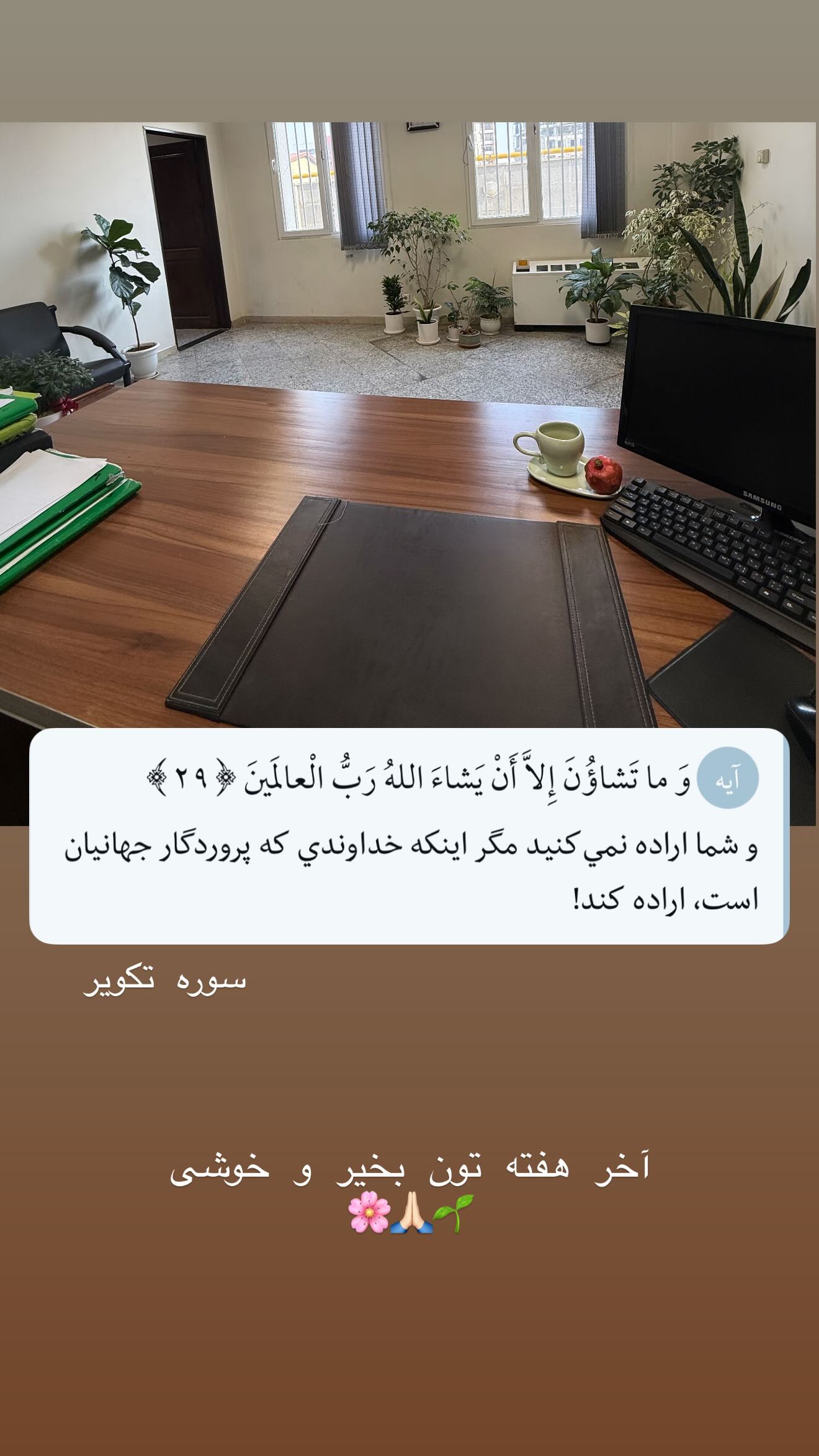  جدید ترین استوری اینستاگرام سارا تاج فیروزه