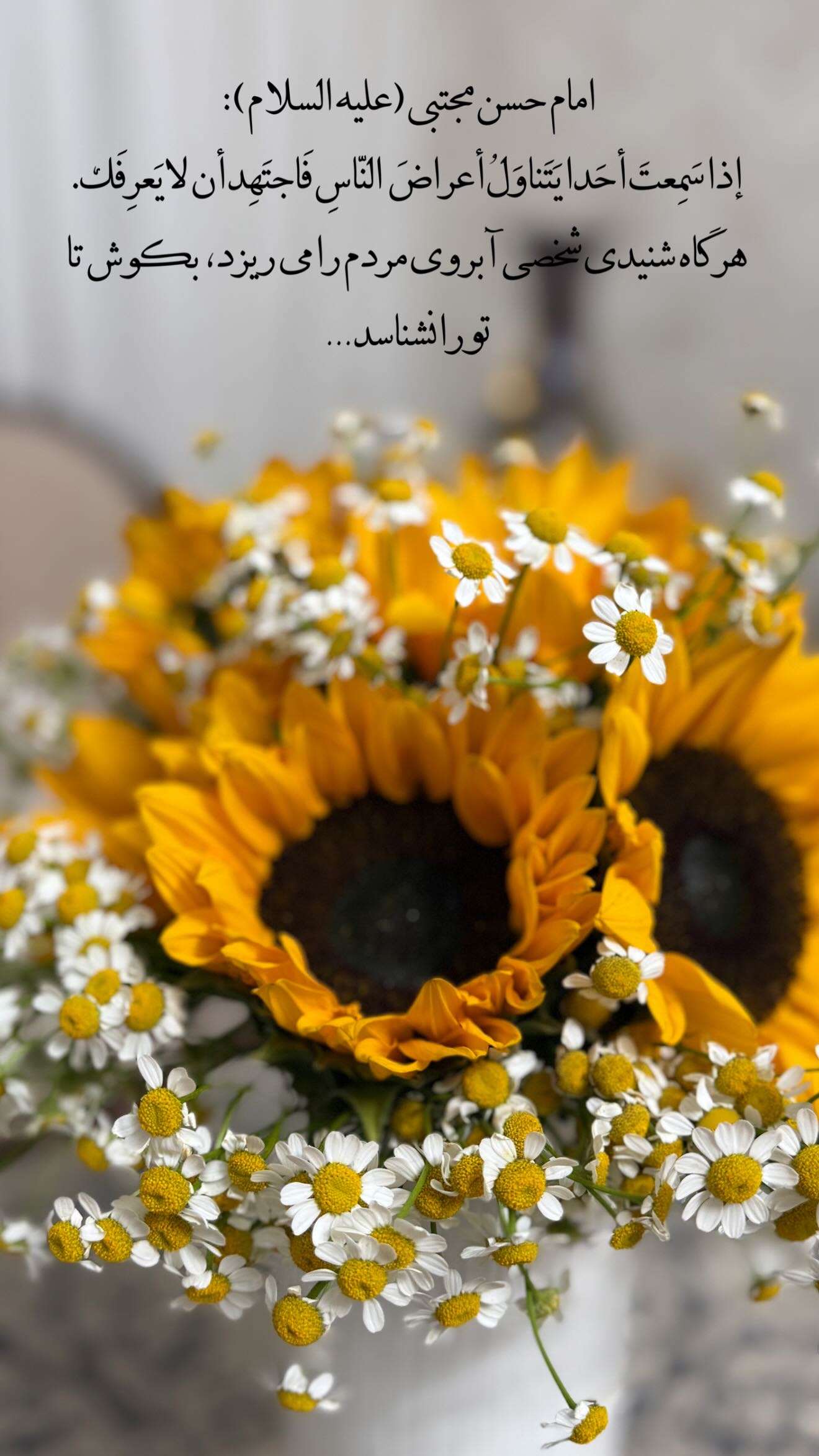  جدید ترین استوری اینستاگرام سارا تاج فیروزه