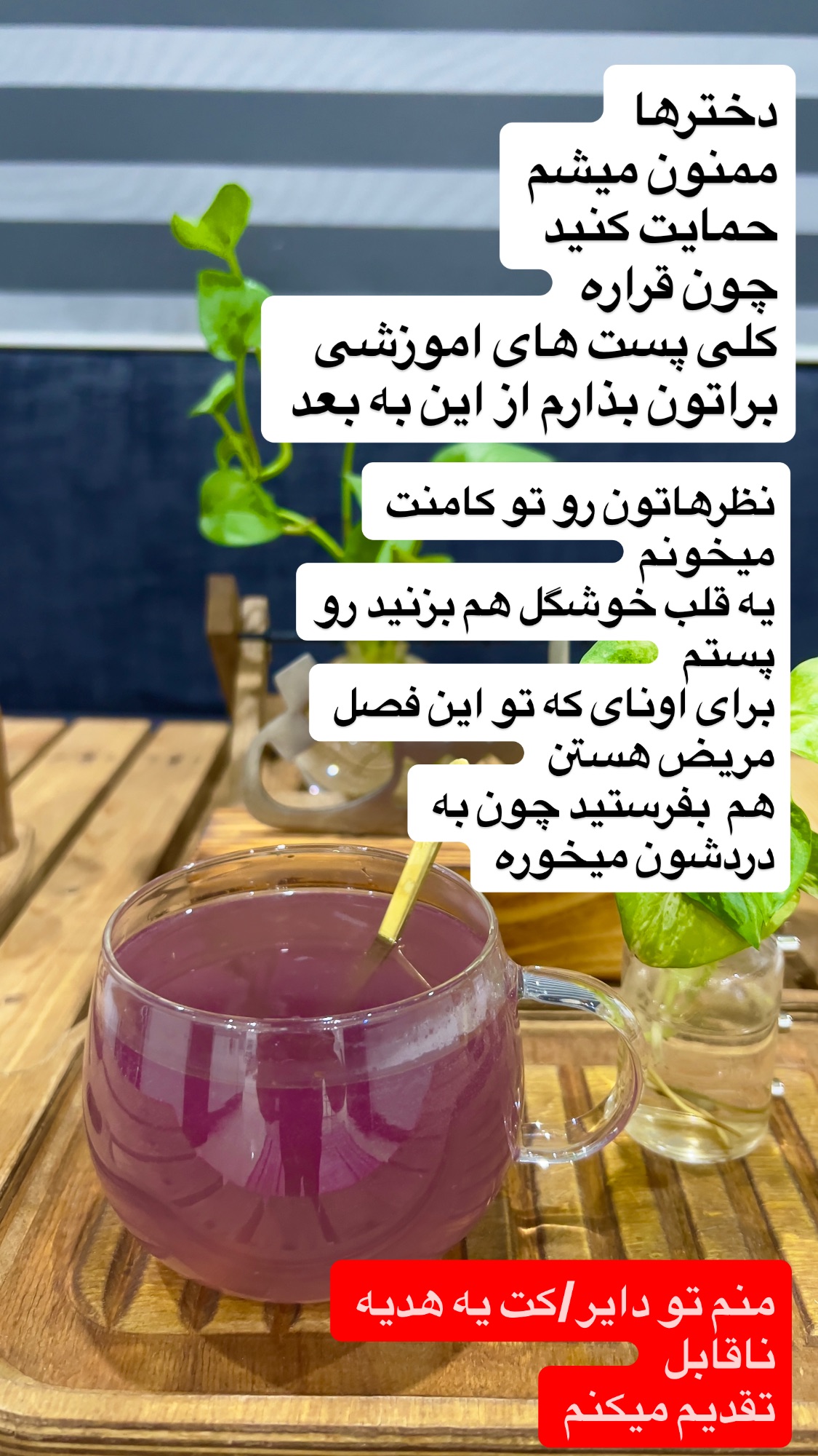  جدید ترین استوری اینستاگرام سارا سيلور