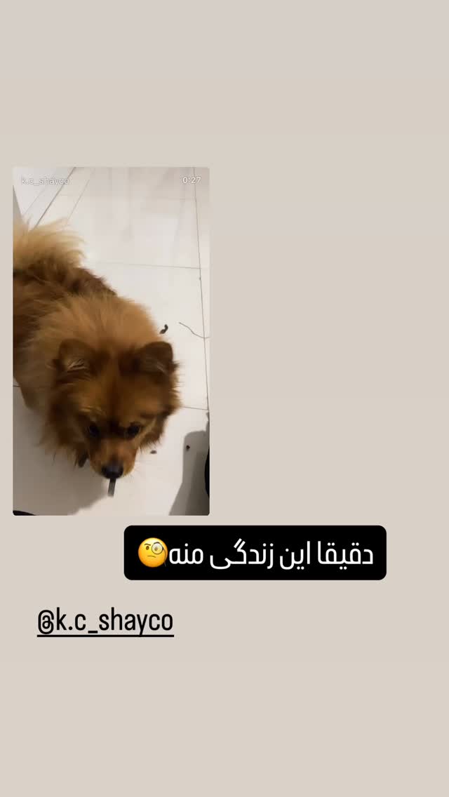  جدید ترین استوری اینستاگرام سارا عبدالملکی