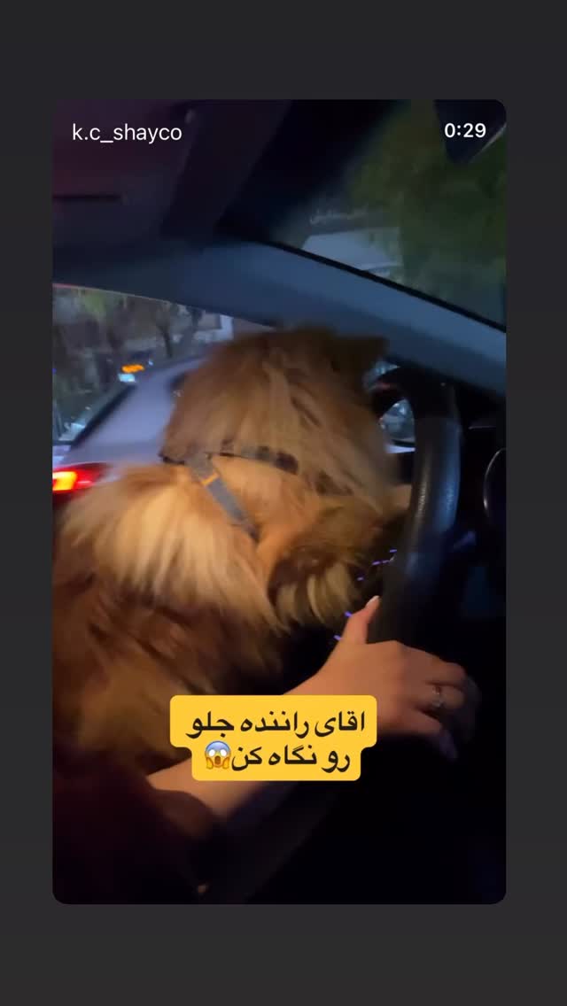  جدید ترین استوری اینستاگرام سارا عبدالملکی