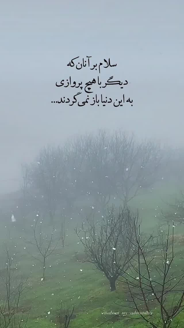  جدید ترین استوری اینستاگرام سارا جعفری
