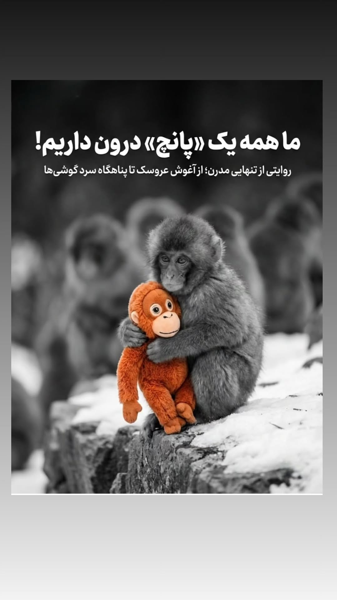  جدید ترین استوری اینستاگرام سارا جعفری