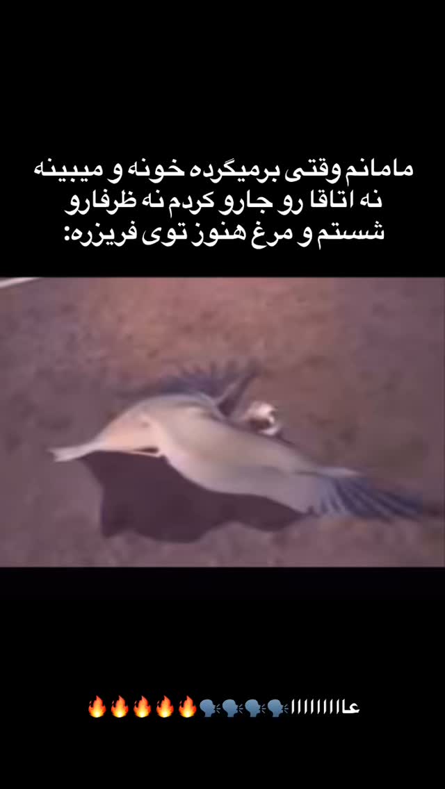 جدید ترین استوری اینستاگرام سارا عقابی