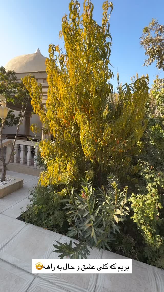  جدید ترین استوری اینستاگرام سارا حیدری
