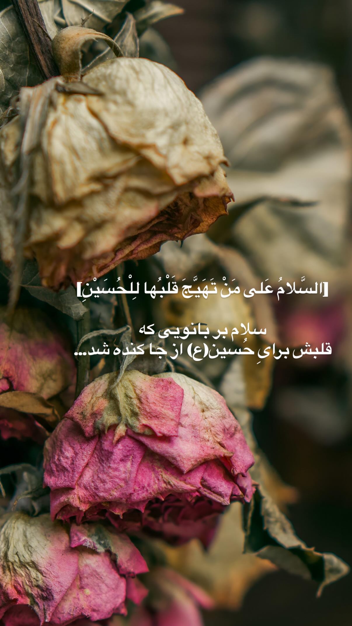  جدید ترین استوری اینستاگرام سارا هوشمندی