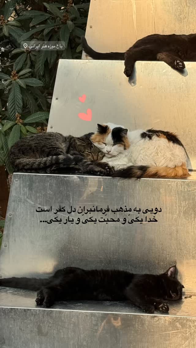  جدید ترین استوری اینستاگرام سارا هوشمندی