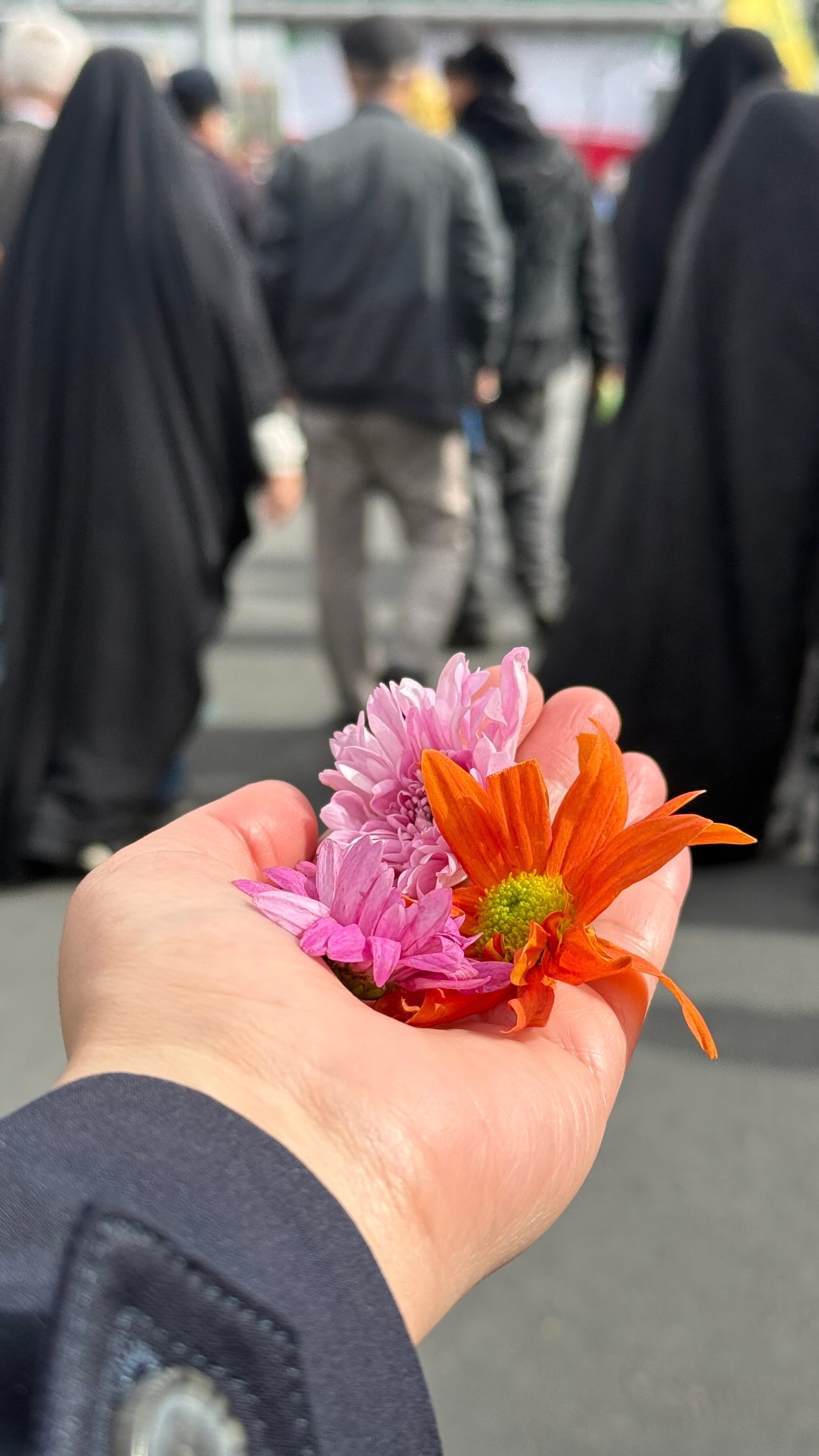  جدید ترین استوری اینستاگرام سارا هوشمندی