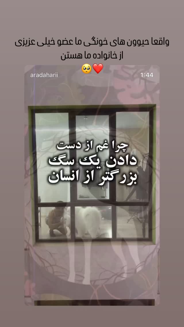  جدید ترین استوری اینستاگرام سارا مقربي