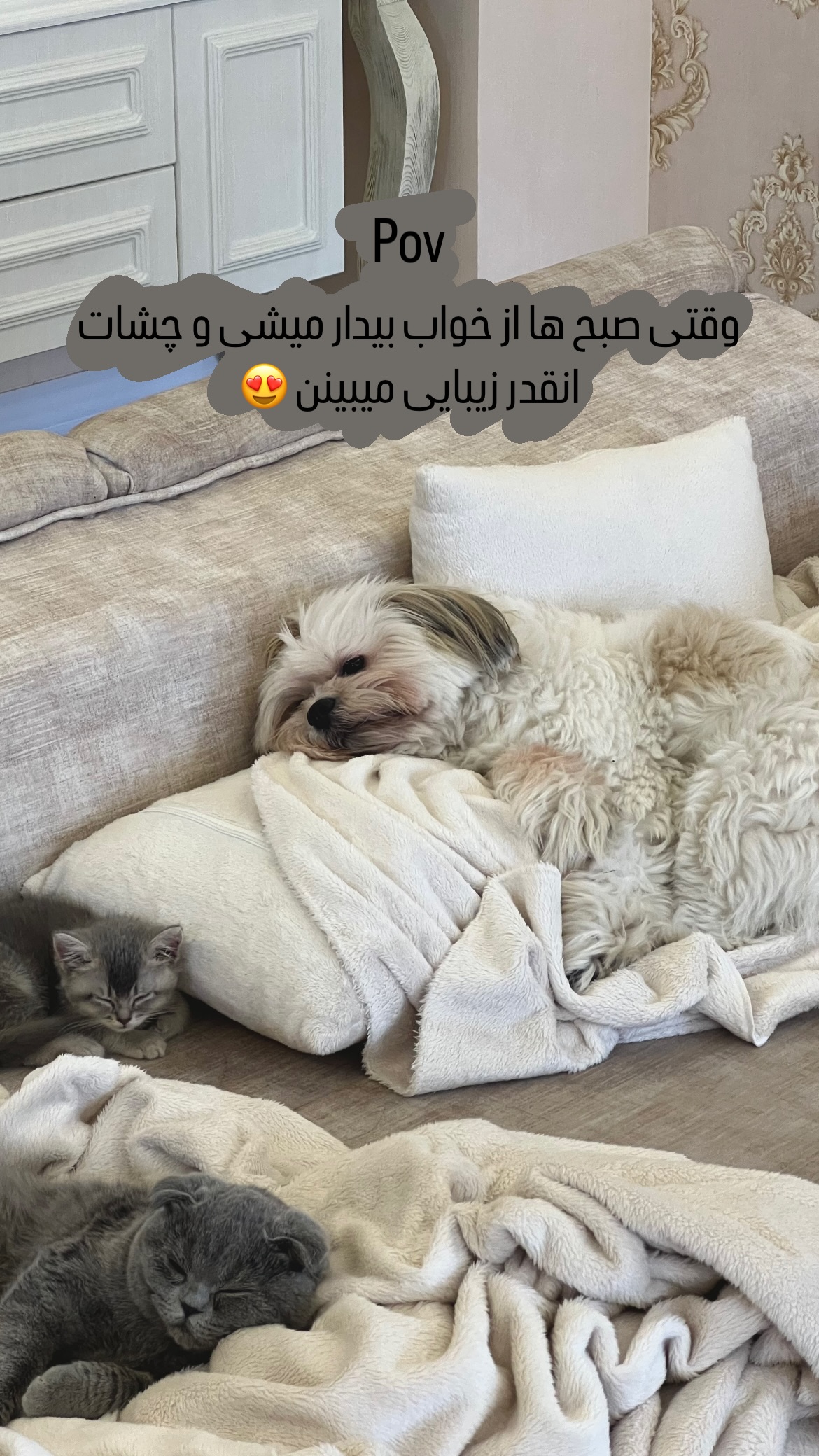  جدید ترین استوری اینستاگرام سارا مقربي