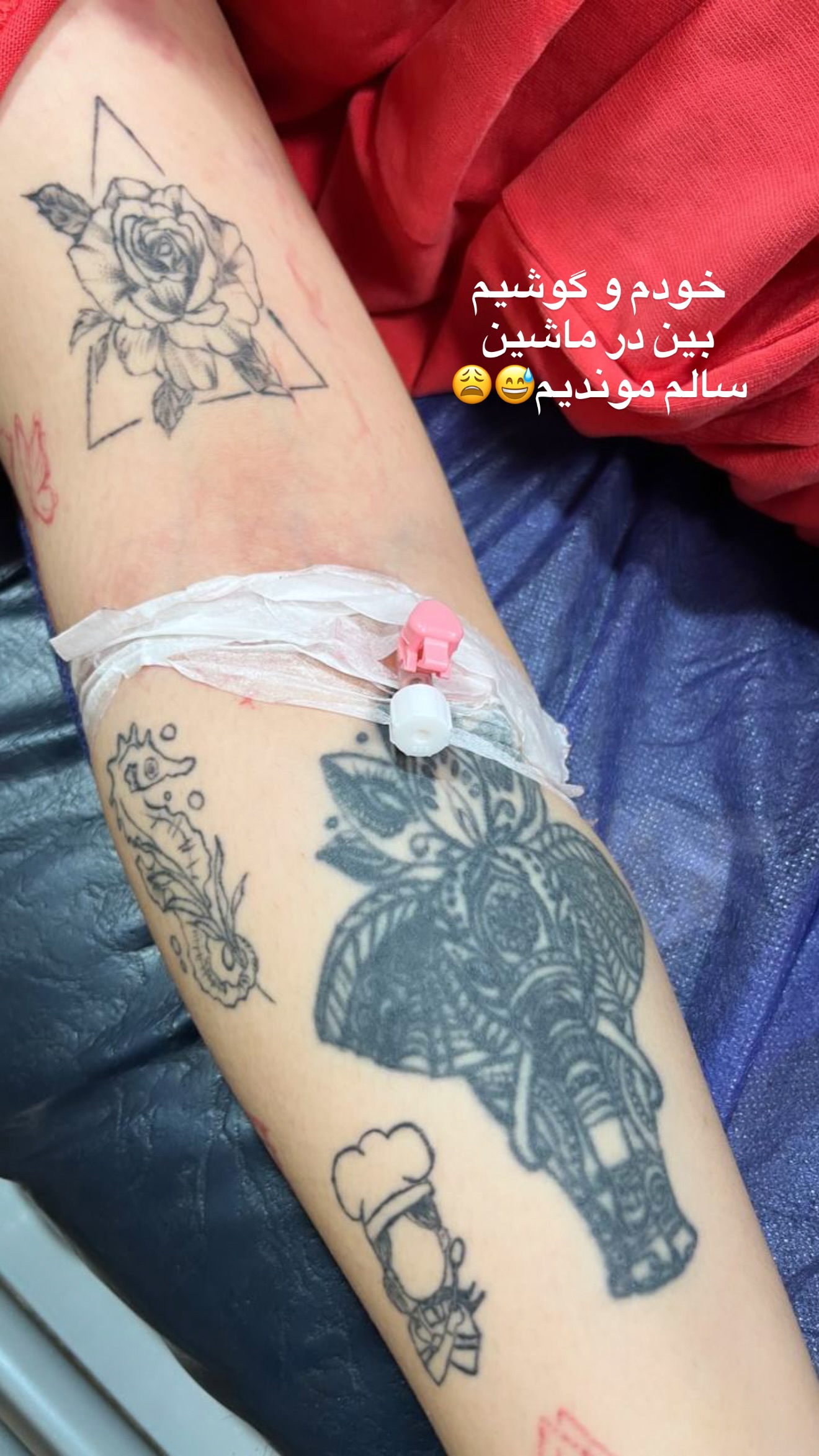  جدید ترین استوری اینستاگرام ساره رسولی