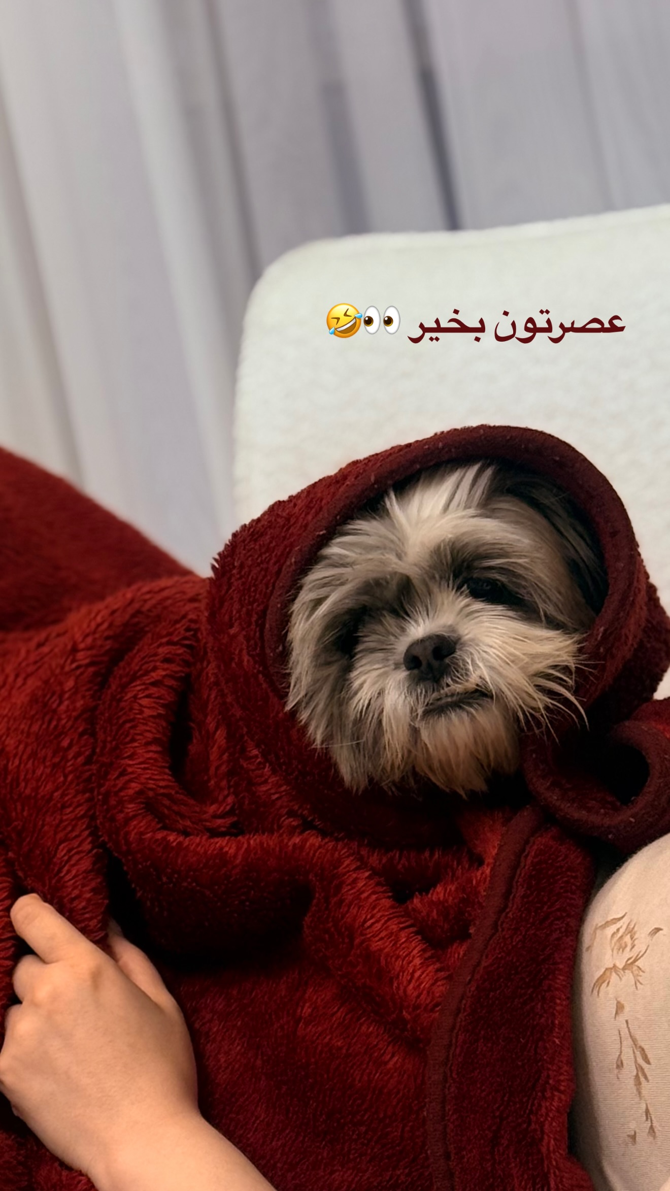  جدید ترین استوری اینستاگرام ساره رسولی