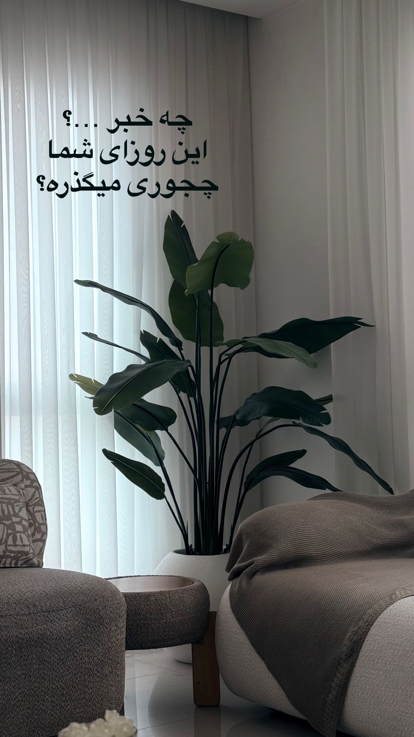  جدید ترین استوری اینستاگرام ساره رسولی