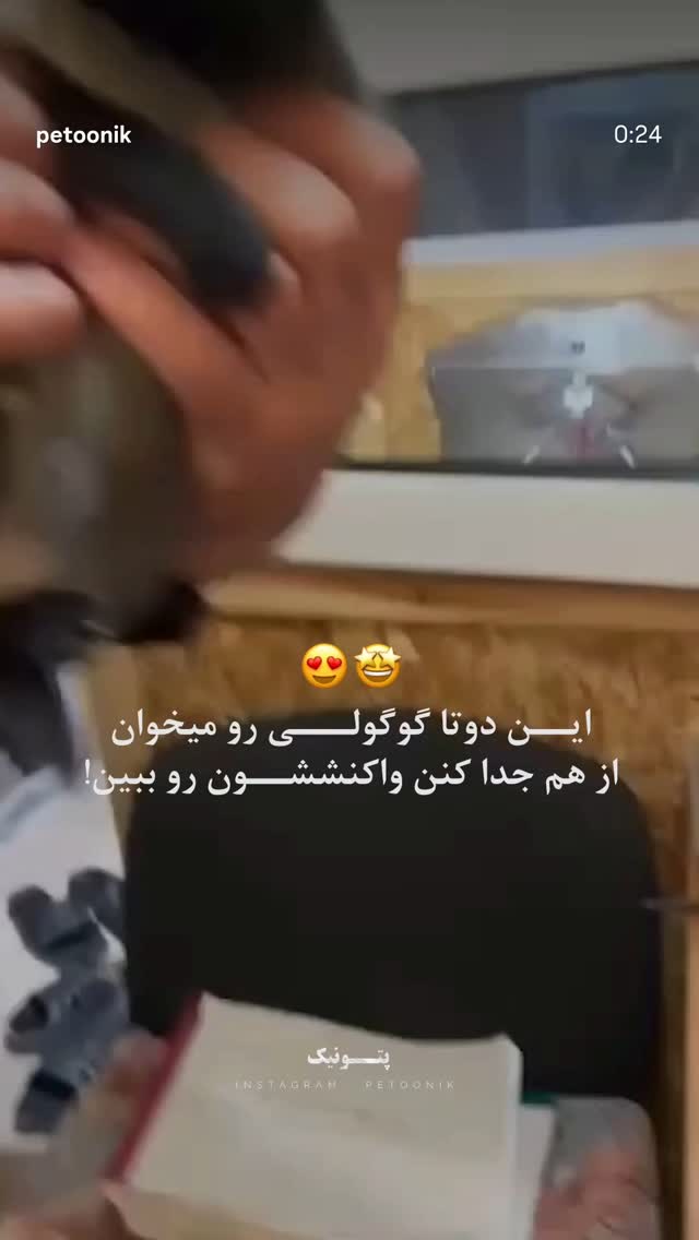 جدید ترین استوری اینستاگرام ساسان کریمی صراف