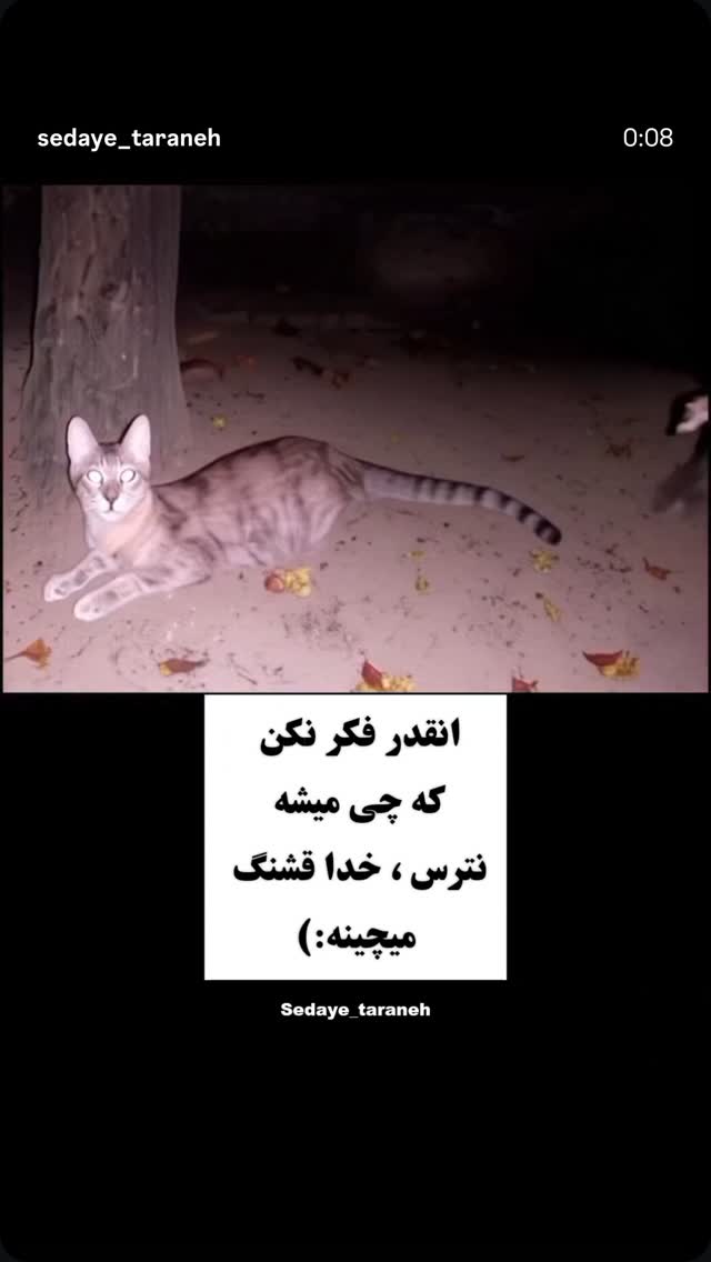  جدید ترین استوری اینستاگرام ساسان کریمی صراف