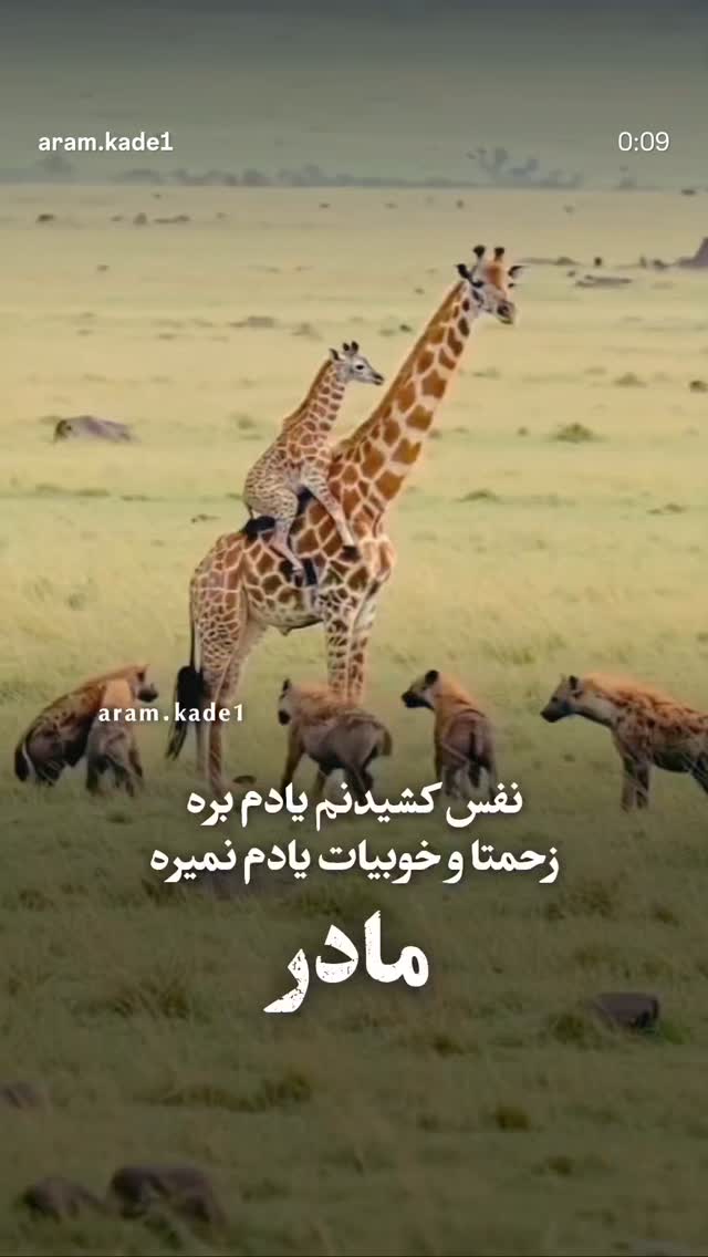  جدید ترین استوری اینستاگرام ساسان کریمی صراف